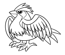 Pidgey ពណ៌តាមអ៊ិនធឺរណែត
